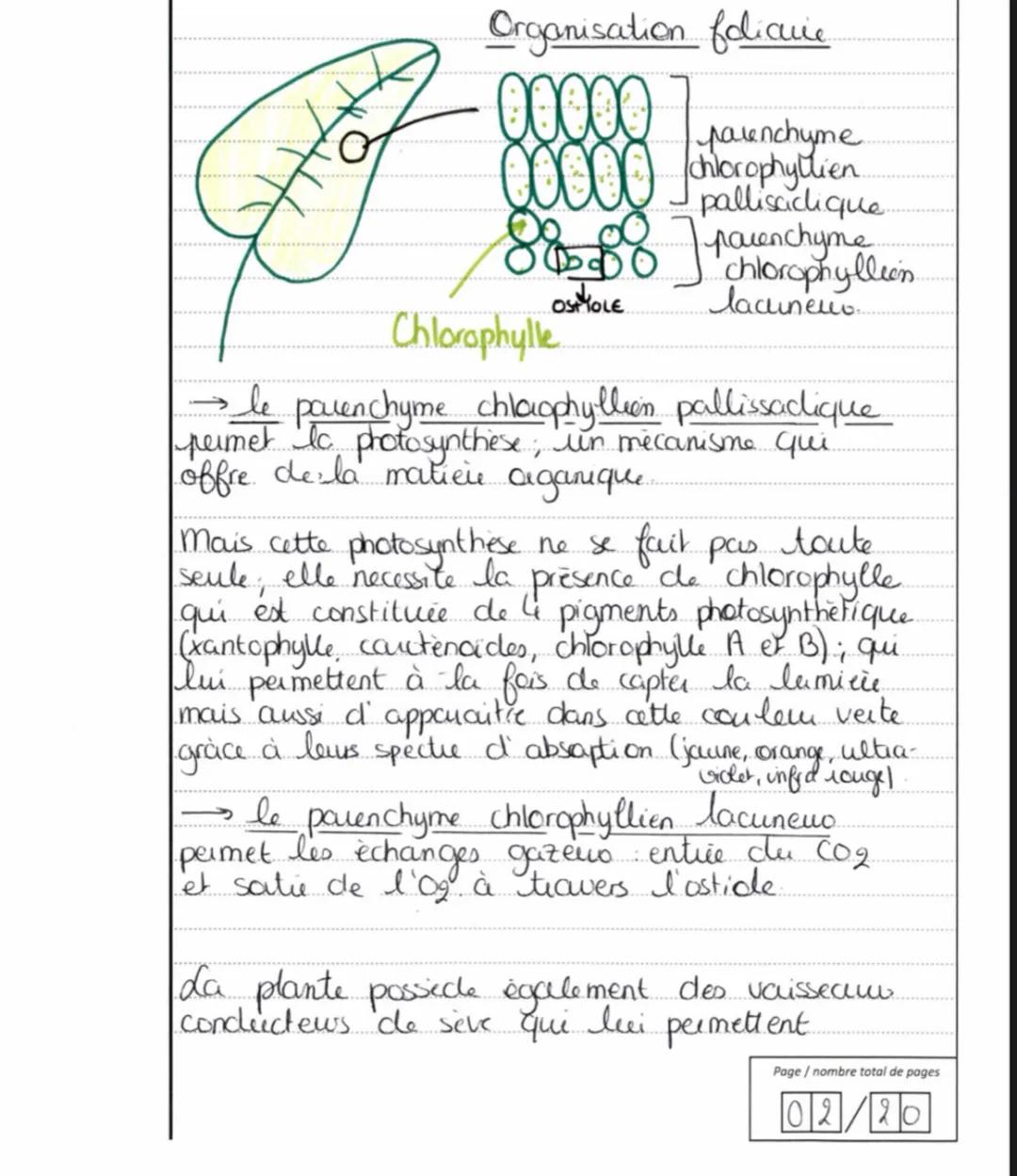EDS - Sciences de la vie et 15/
15
de la Terre
Appréciation : Exercice 1: Construction
logique, Connaissances complètes et
associées à au mo