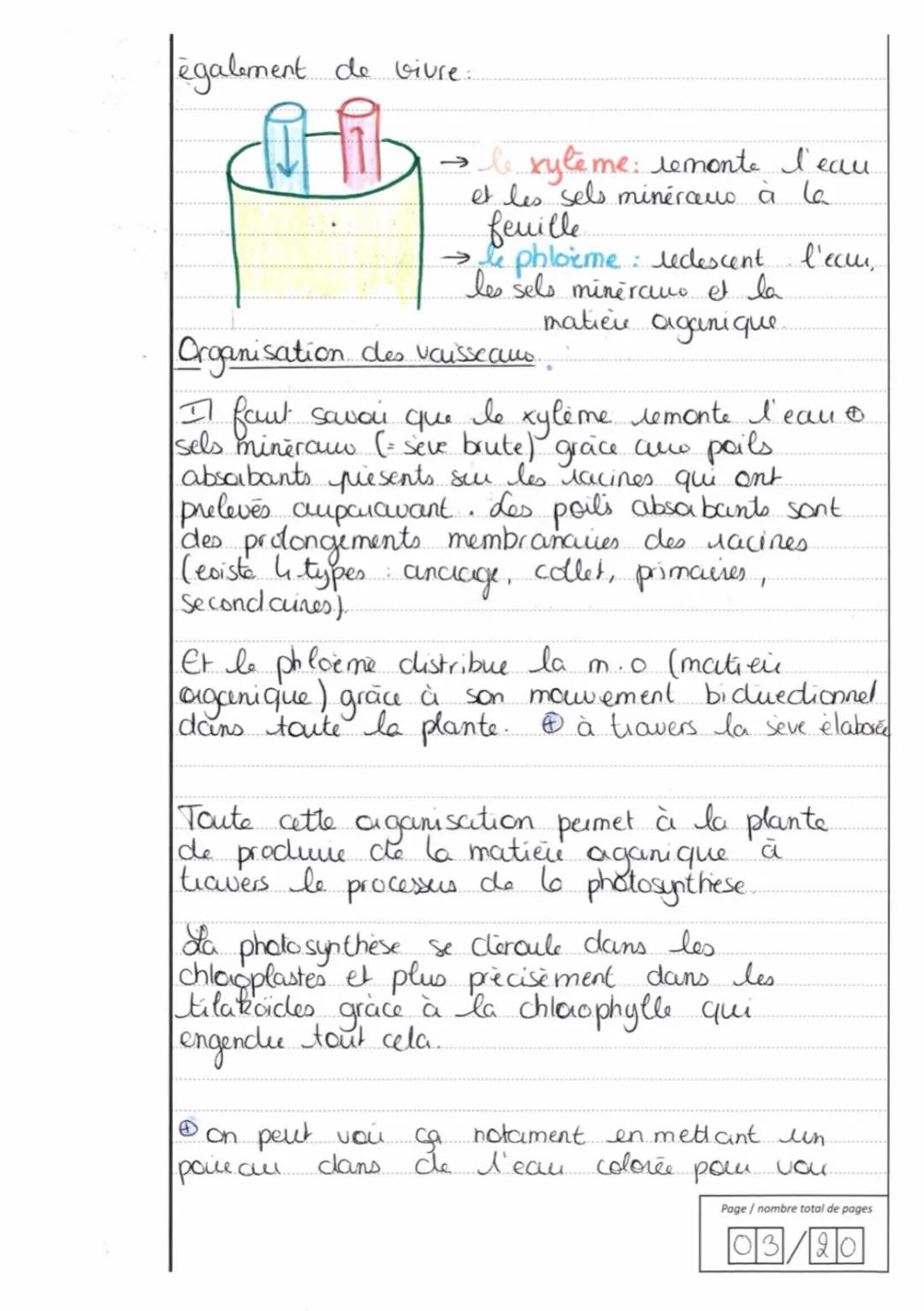 EDS - Sciences de la vie et 15/
15
de la Terre
Appréciation : Exercice 1: Construction
logique, Connaissances complètes et
associées à au mo