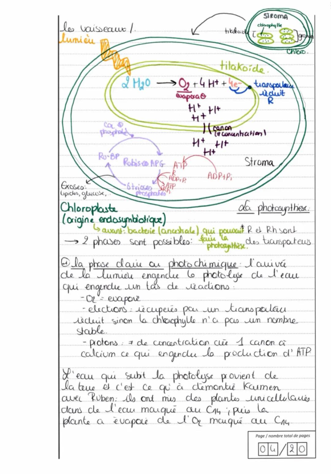 EDS - Sciences de la vie et 15/
15
de la Terre
Appréciation : Exercice 1: Construction
logique, Connaissances complètes et
associées à au mo