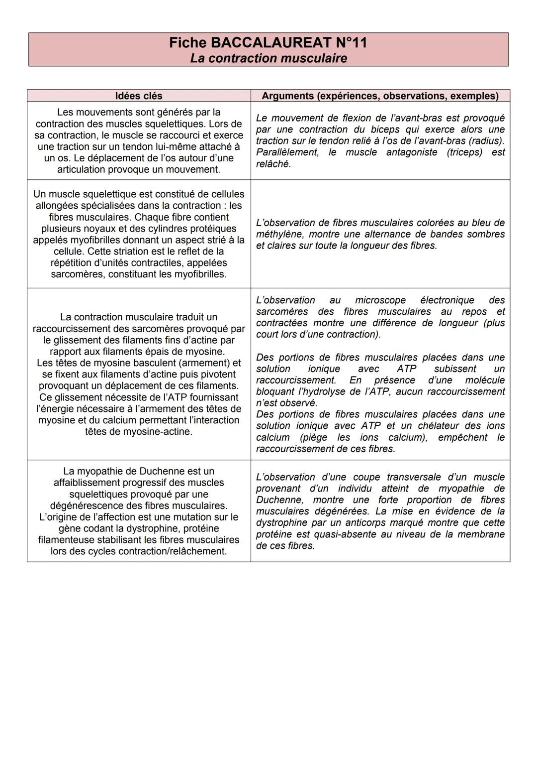 # Fiche BACCALAUREAT N°11
# La contraction musculaire
## Idées clés
Les mouvements sont générés par la contraction des muscles squelettiqu