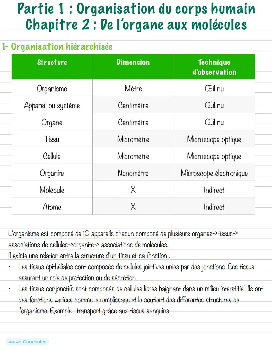 --- OCR Start ---
Partie 1: Organisation du corps humain
Chapitre 2: De l'organe aux molécules
1- Organisation hiérarchisée
Structure
Dimens