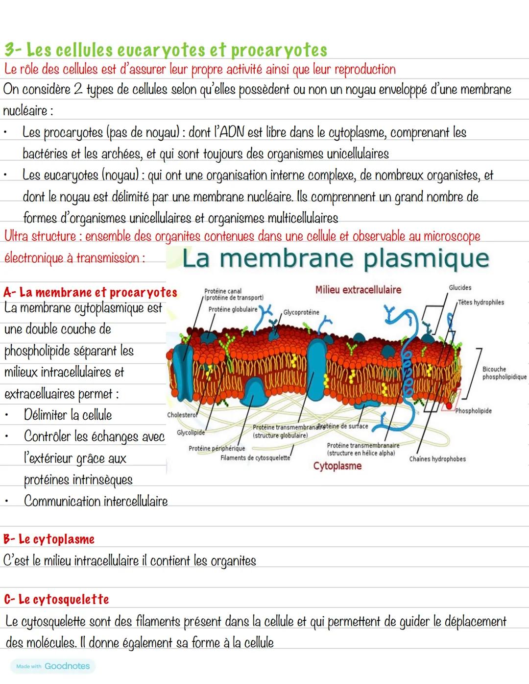 --- OCR Start ---
Partie 1: Organisation du corps humain
Chapitre 2: De l'organe aux molécules
1- Organisation hiérarchisée
Structure
Dimens