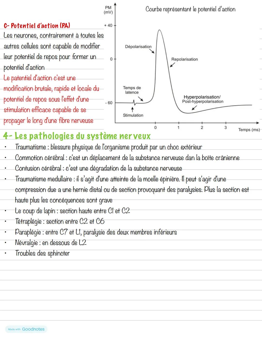 # Partie 2 : Le système osseux
# Chapitre 2 : Système nerveux
**Introduction**
Le système nerveux est constitué de neurone et de nerfs. Il