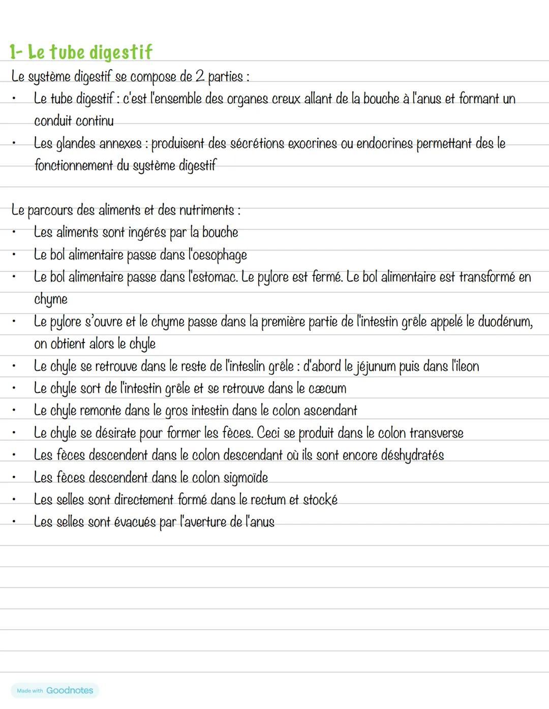 --- OCR Start ---
Partie 3: L'alimentation
Chapitre 1: Anatomie de l'appareil digestif
Made with GOO
Dessin des organes de
Système digestif