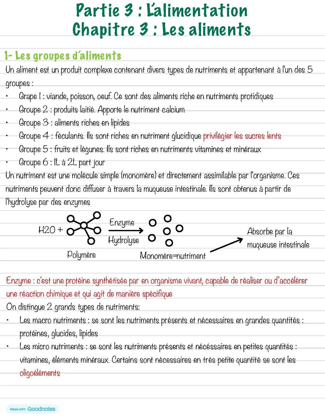 Biologie : Les aliments