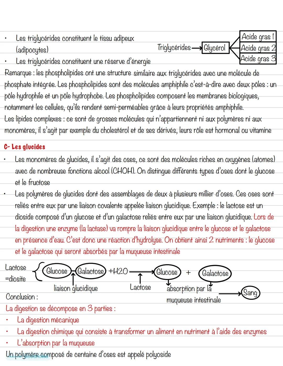 --- OCR Start ---
Partie 3: L'alimentation
Chapitre 3: Les aliments
1- Les groupes d'aliments
Un aliment est un produit complexe contenant d