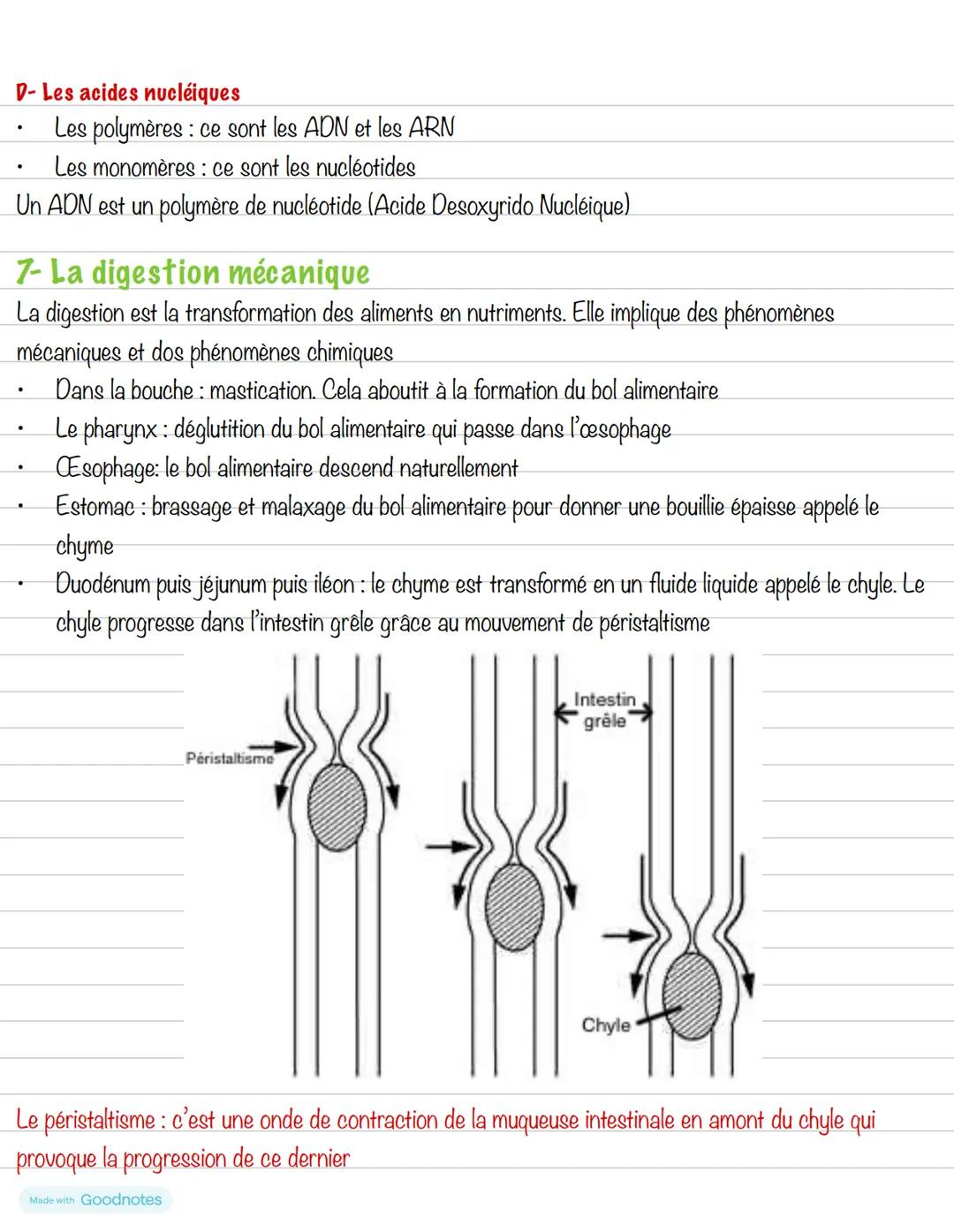 --- OCR Start ---
Partie 3: L'alimentation
Chapitre 3: Les aliments
1- Les groupes d'aliments
Un aliment est un produit complexe contenant d