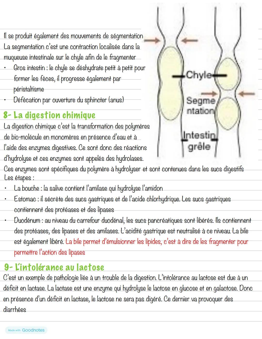 --- OCR Start ---
Partie 3: L'alimentation
Chapitre 3: Les aliments
1- Les groupes d'aliments
Un aliment est un produit complexe contenant d