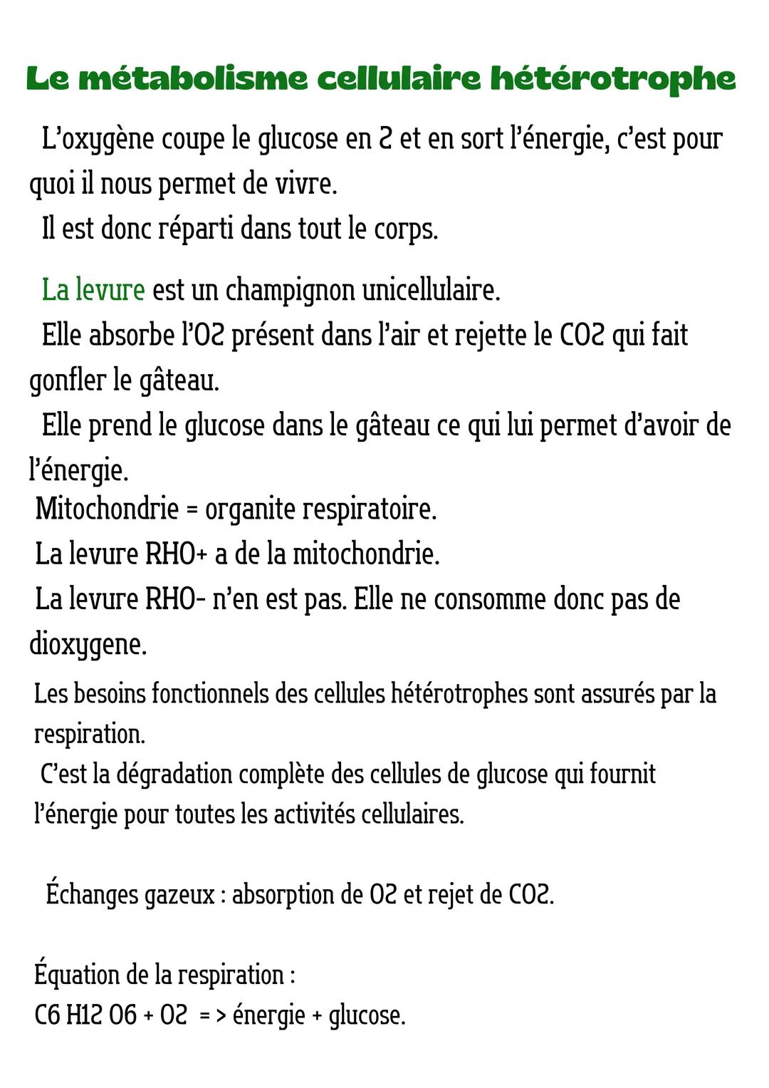 --- OCR Start ---
Le métabolisme
mo: matière organique
des cellules
Métabolisme: ensemble des réactions chimiques de synthèse ou
de dégradat