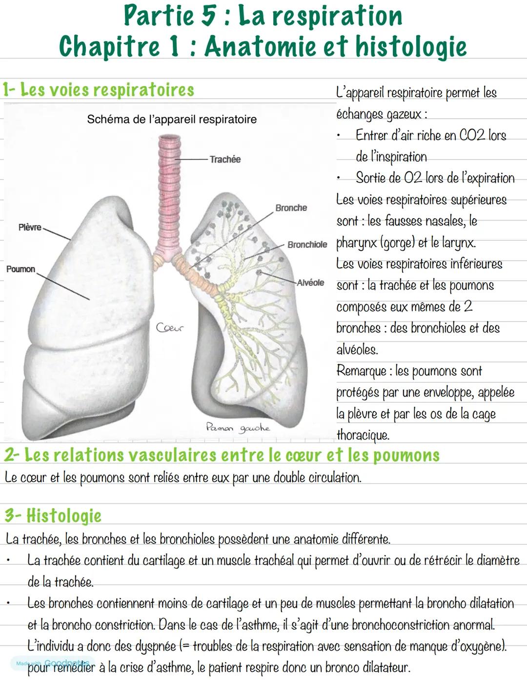 # Partie 5: La respiration
## Chapitre 1: Anatomie et histologie
1- Les voies respiratoires
Schéma de l'appareil respiratoire
Plèvre
Pou