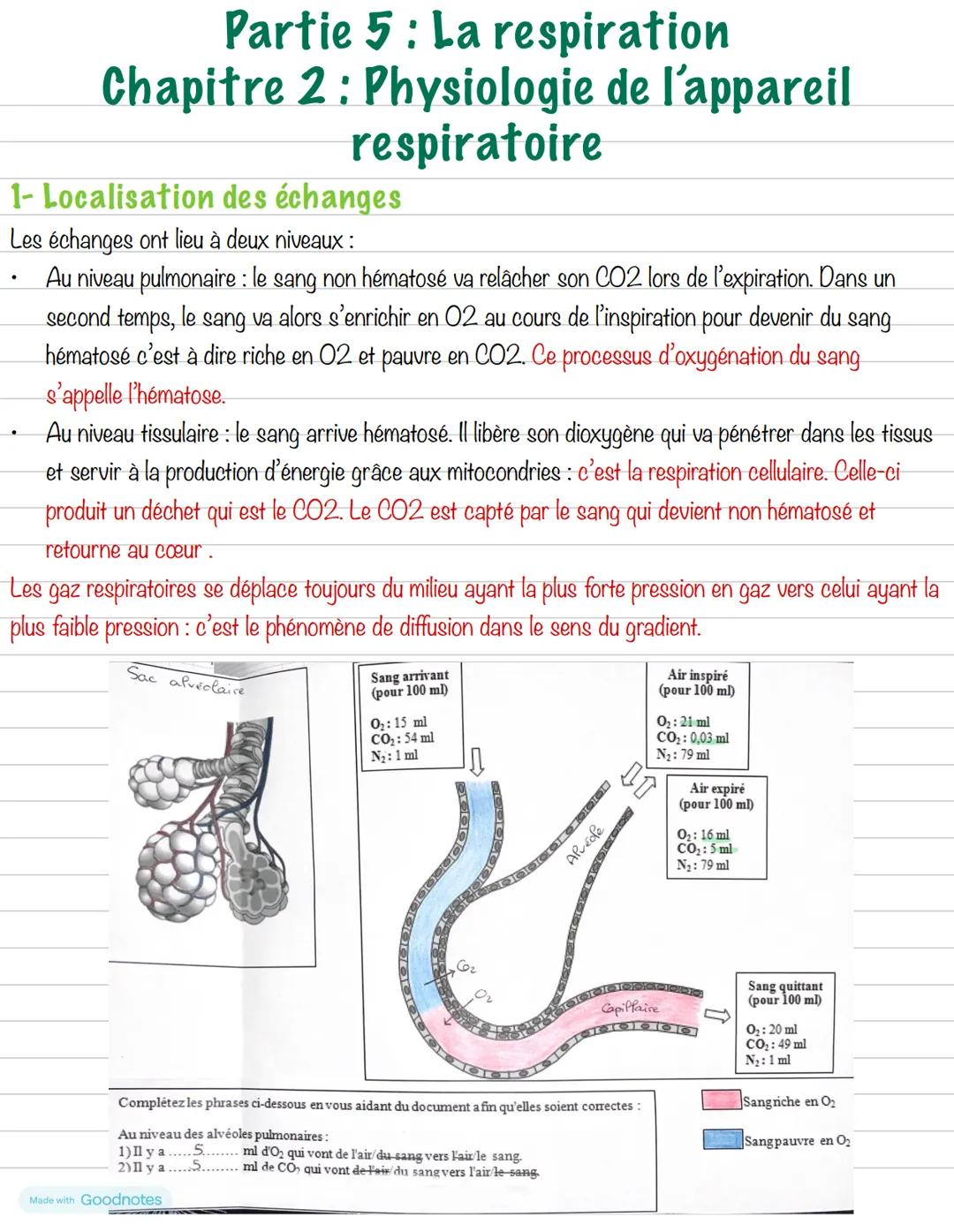 Partie 5: La respiration
Chapitre 2: Physiologie de l'appareil
respiratoire
1- Localisation des échanges
Les échanges ont lieu à deux niveau