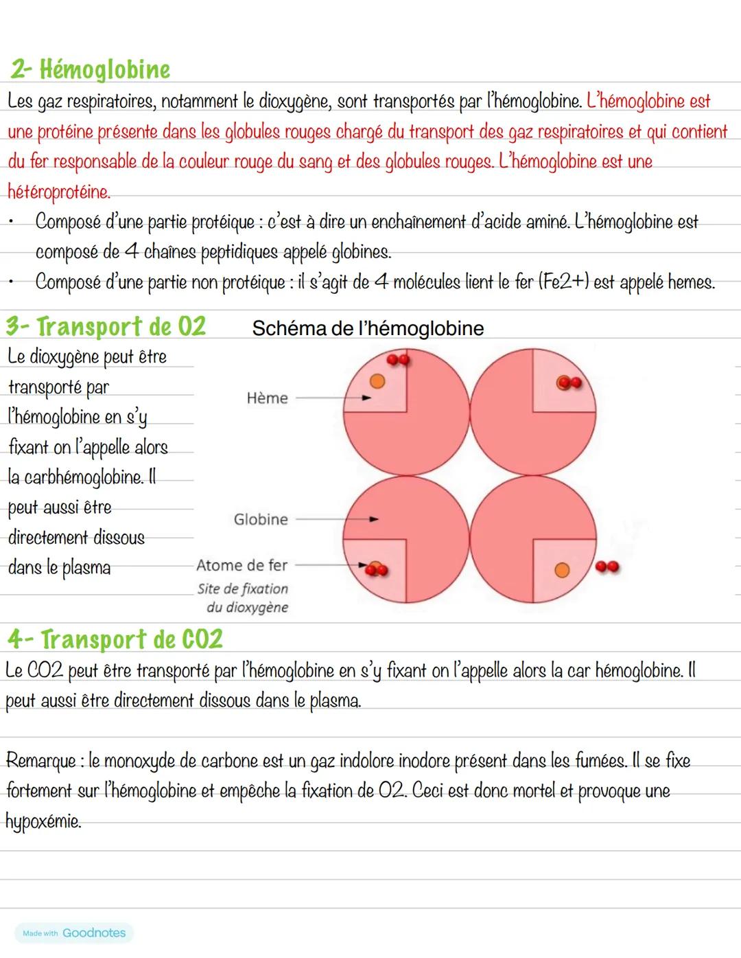 Partie 5: La respiration
Chapitre 2: Physiologie de l'appareil
respiratoire
1- Localisation des échanges
Les échanges ont lieu à deux niveau