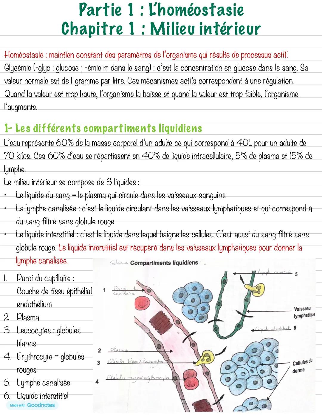 Biologie : Milieu intérieur de l’homéostasie