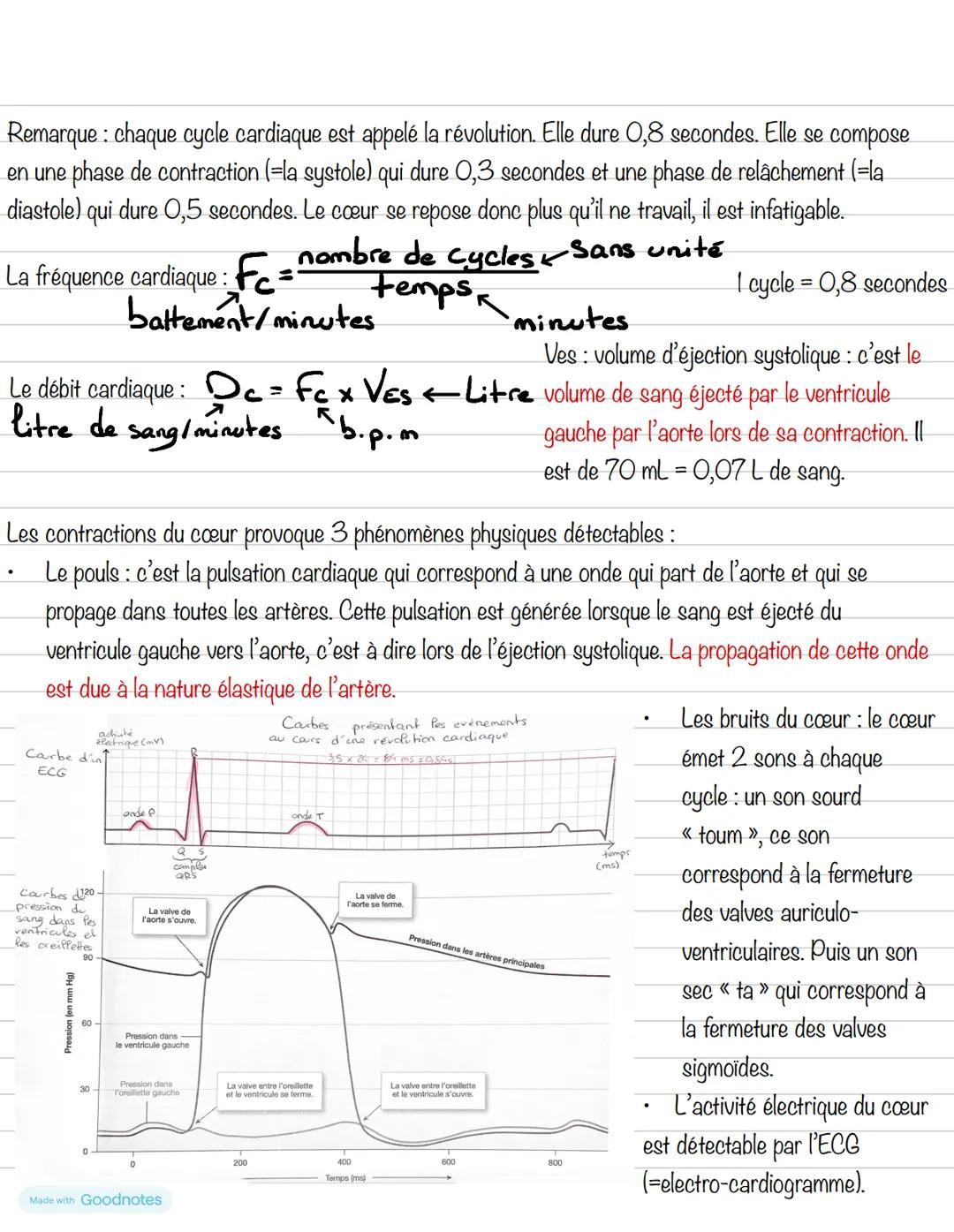 Partie 4: Le système cardiovasculaire
Chapitre 1: Le cœur
1- Anatomie du cœur
Schéma du cœur et de ses vaisseaux
Veine cave
supérieure
Aorte