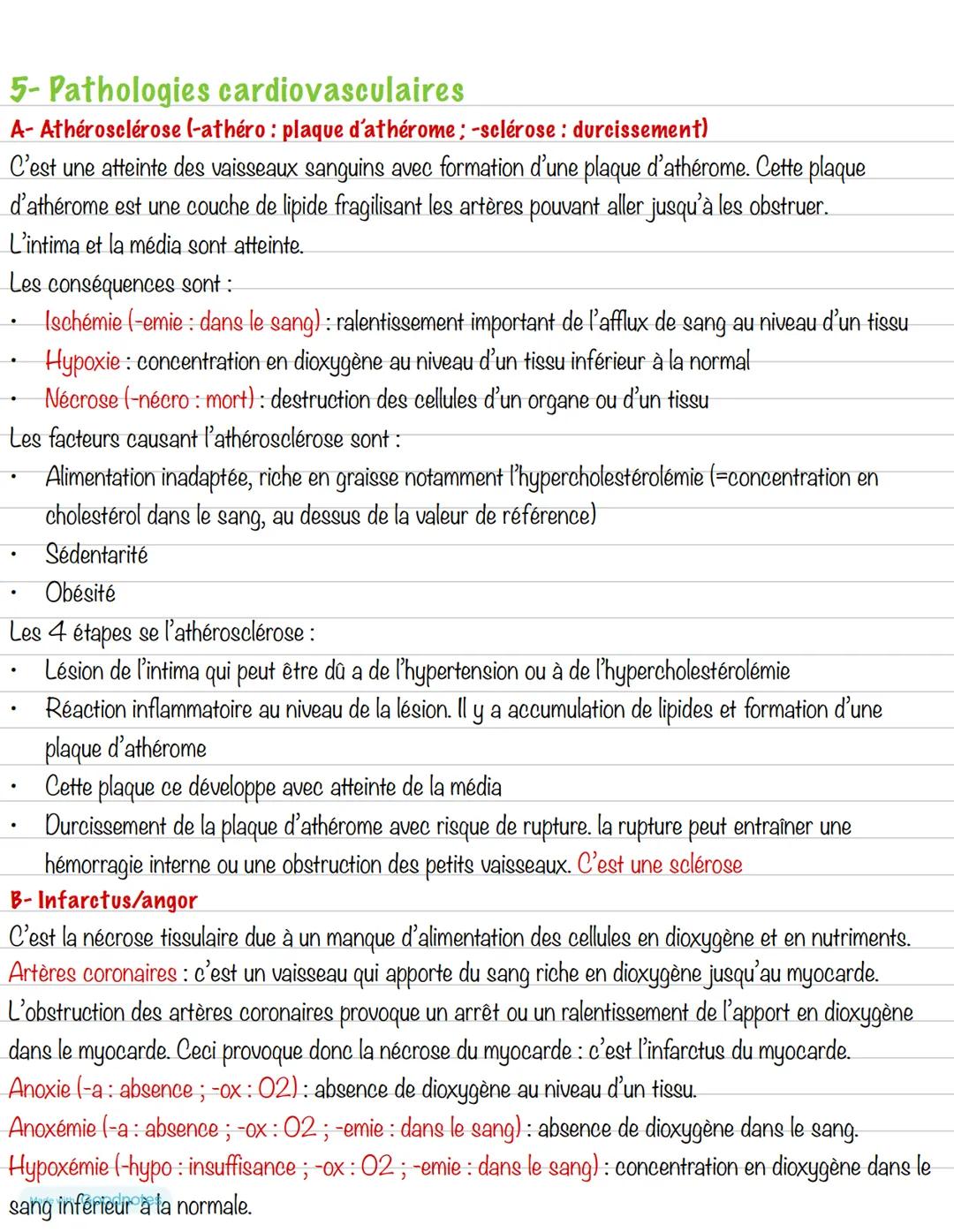 Partie 4: Le système cardiovasculaire
Chapitre 1: Le cœur
1- Anatomie du cœur
Schéma du cœur et de ses vaisseaux
Veine cave
supérieure
Aorte