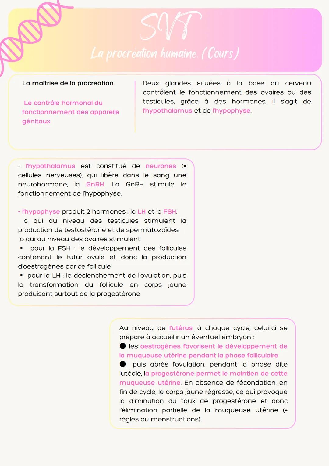 # 100
SVT
La procréation humaine. (Cours)
La mise en place d'un appareil
reproducteur:
1ère étape: Différenciation des
gonades
Le sexe