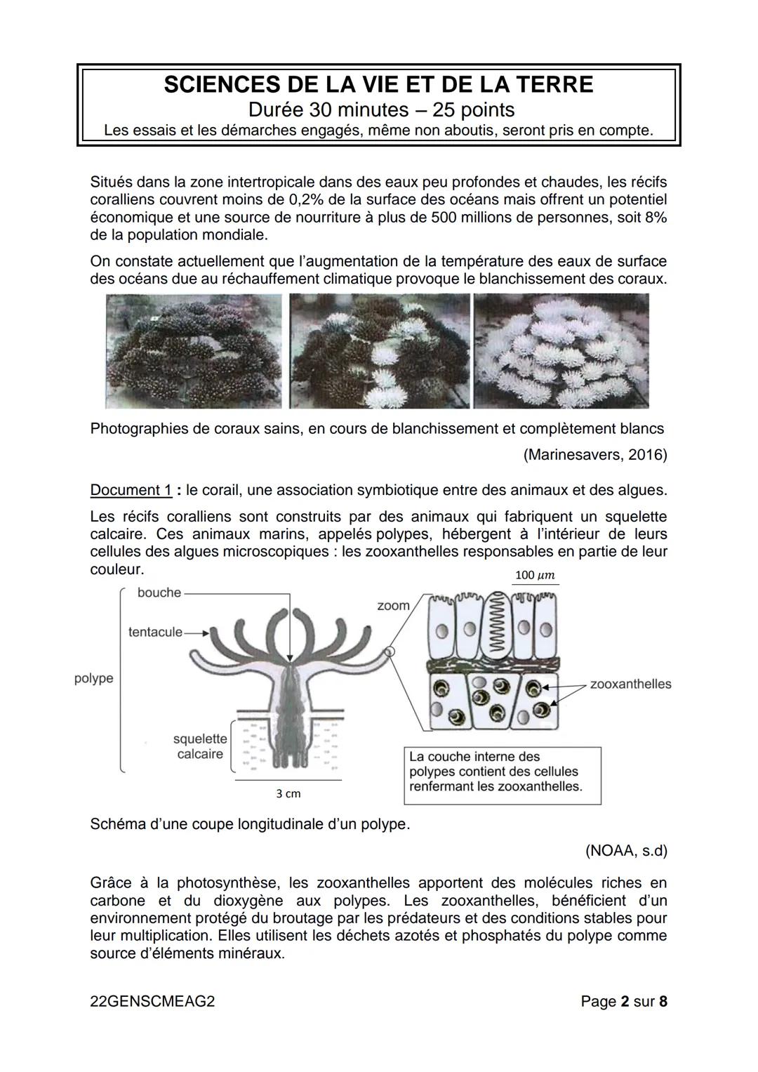 # DIPLÔME NATIONAL DU BREVET
# SESSION 2022
Durée de l'épreuve : 1 h
# SCIENCES
Série générale
50 points
Dès que le sujet vous est remis