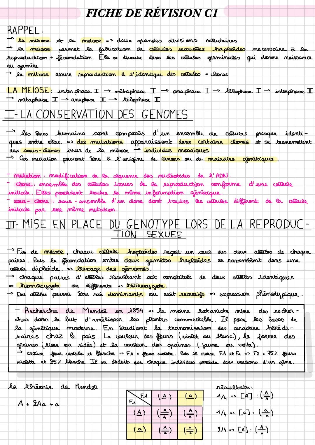 L’origine du génome humain