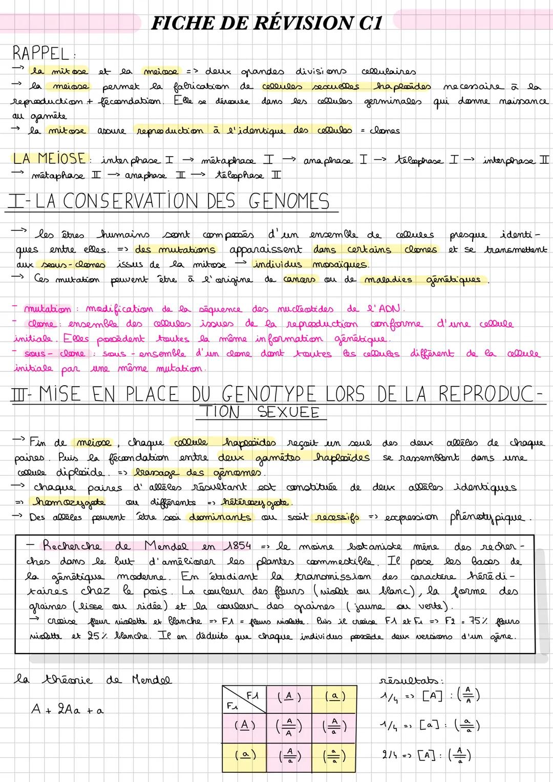 --- OCR Start ---
FICHE DE RÉVISION CI
RAPPEL
→ la mitose et la meicose => deux grandes divisions. cellulaires
→ la meiose permet la fabrica