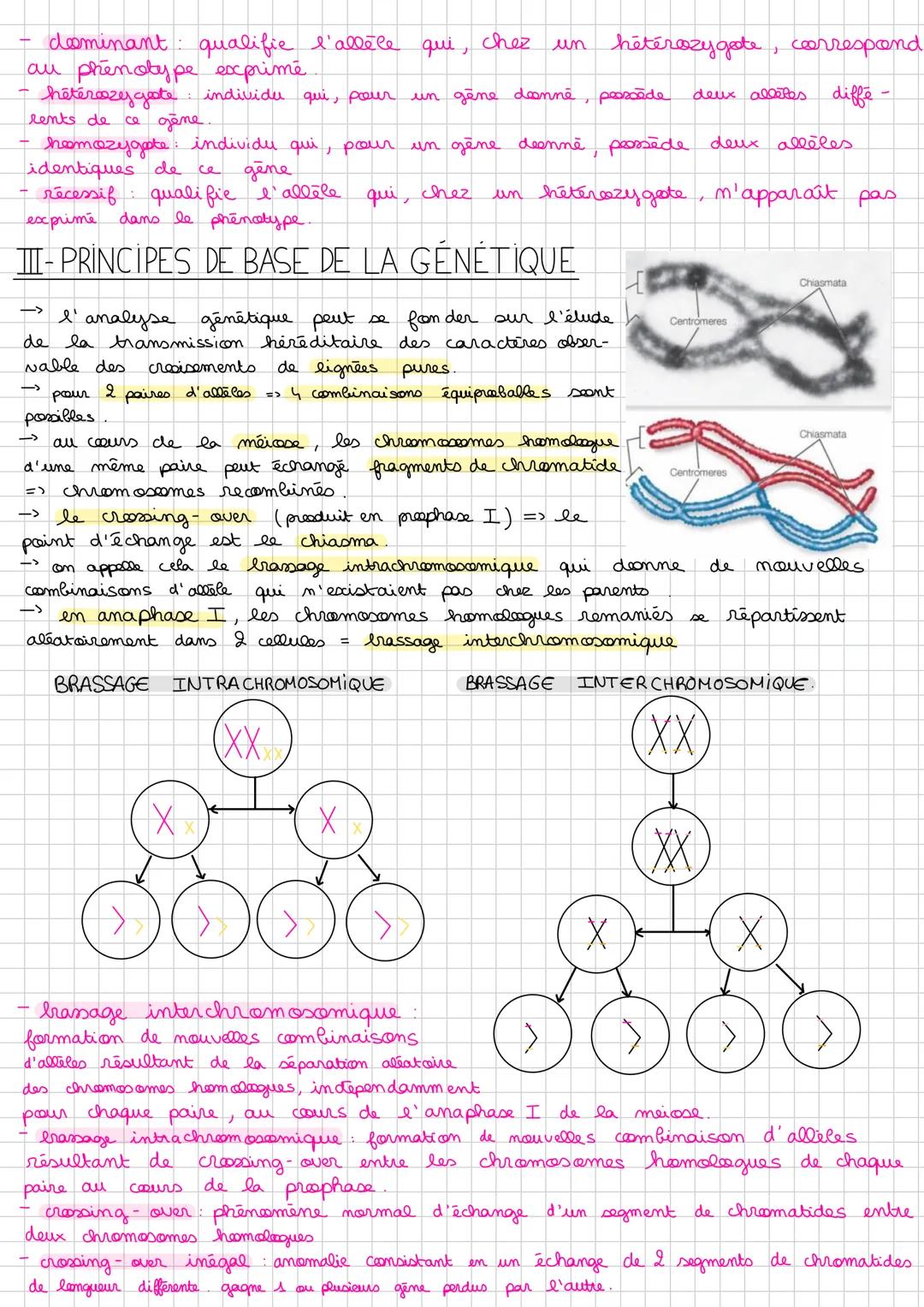 --- OCR Start ---
FICHE DE RÉVISION CI
RAPPEL
→ la mitose et la meicose => deux grandes divisions. cellulaires
→ la meiose permet la fabrica