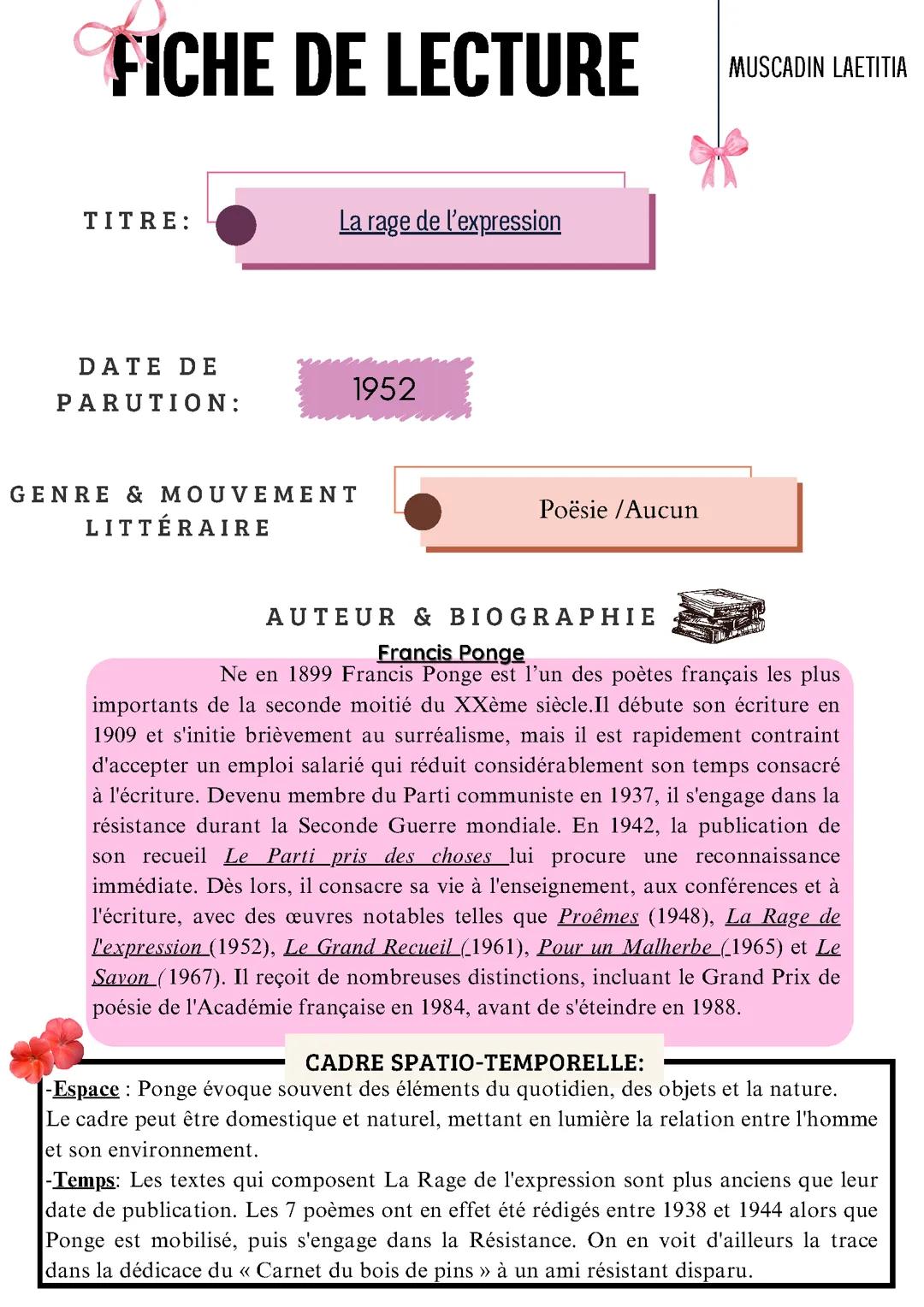 Fiche de lecture sur la rage de l’expression