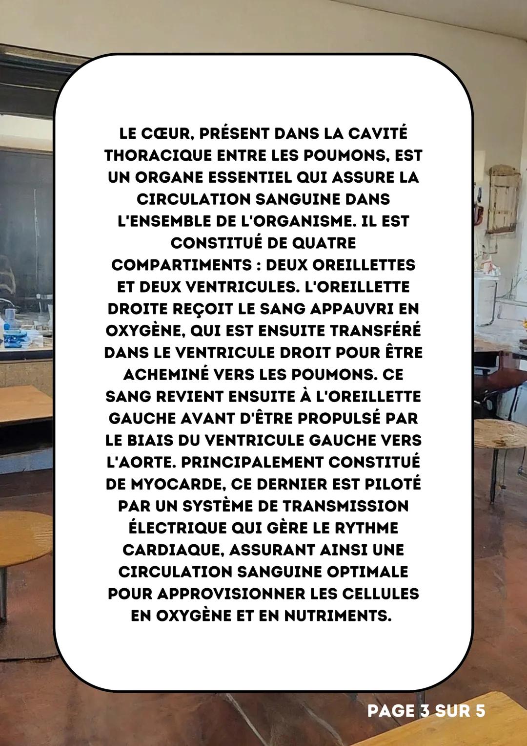 # LE CŒUR
SVT
5EME
PAGE 1 SUR 5 # LÉGENDE
1 : VEINES PULMONAIRES
2 : OREILLETTE GAUCHE
3 : VALVE MITRALE
4 : VENTRICULE GAUCHE
5 : VALVU