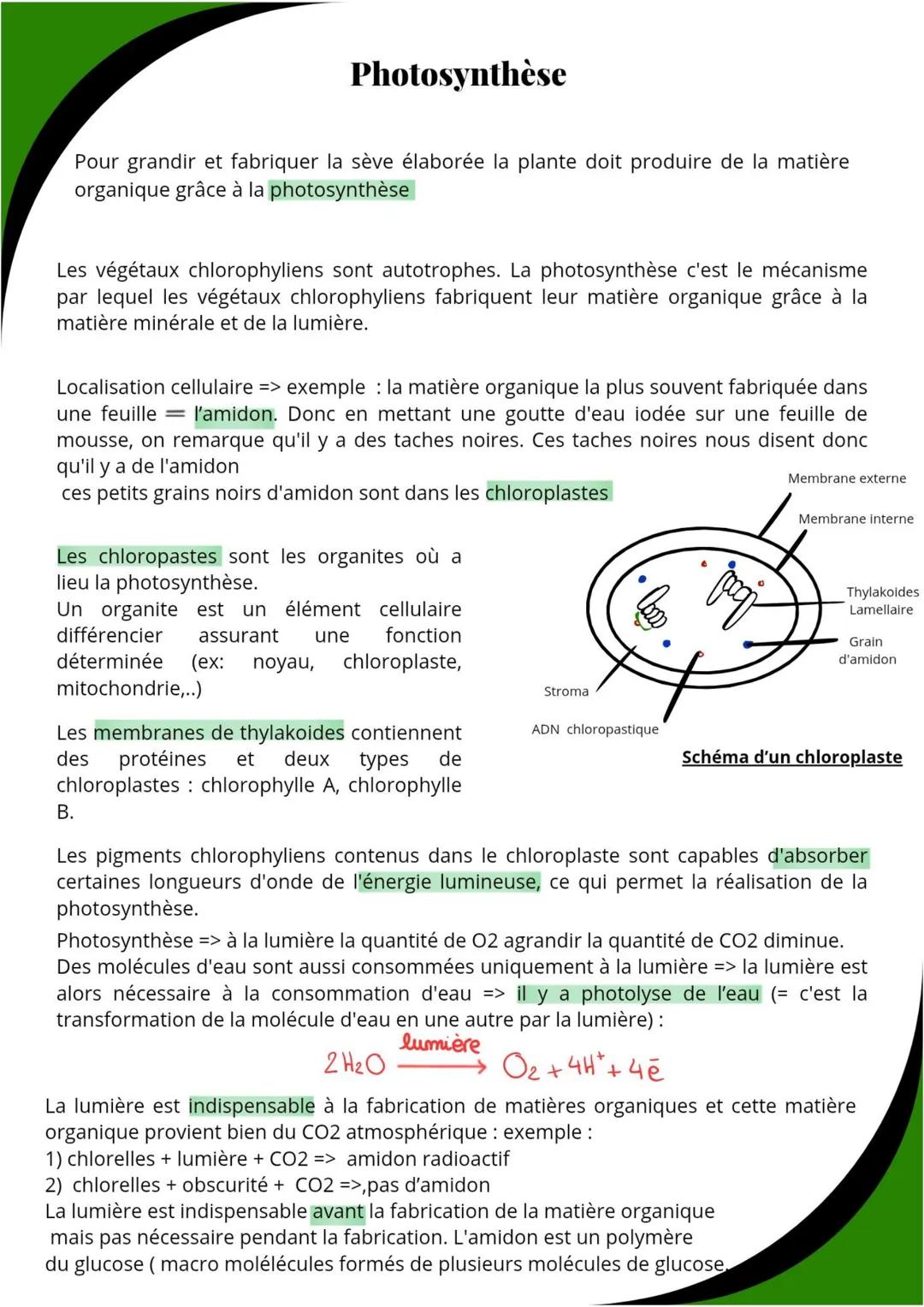 # Photosynthèse
Pour grandir et fabriquer la sève élaborée la plante doit produire de la matière
organique grâce à la photosynthèse
Les vé