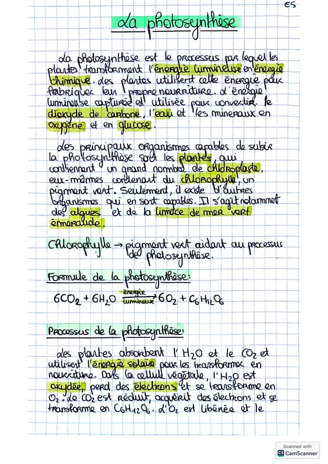# La photosynthèse
La photosynthèse est le processus par lequel les
plartes transforment l'énergie Cuminelise en énergie
fchimique. des pla