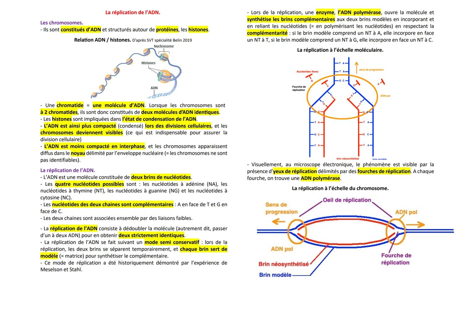 --- OCR Start ---
La mitose
Les divisions cellulaires des eucaryotes.
Mitose: division cellulaire précédée de la réplication de l'ADN condui