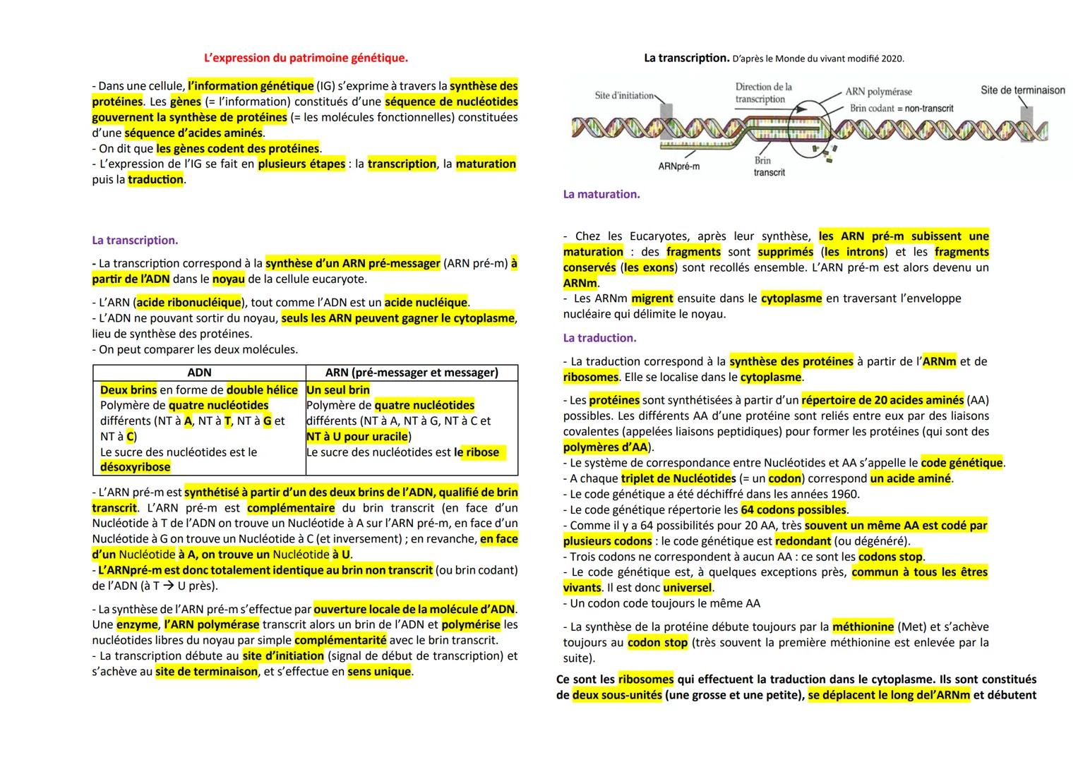 --- OCR Start ---
La mitose
Les divisions cellulaires des eucaryotes.
Mitose: division cellulaire précédée de la réplication de l'ADN condui