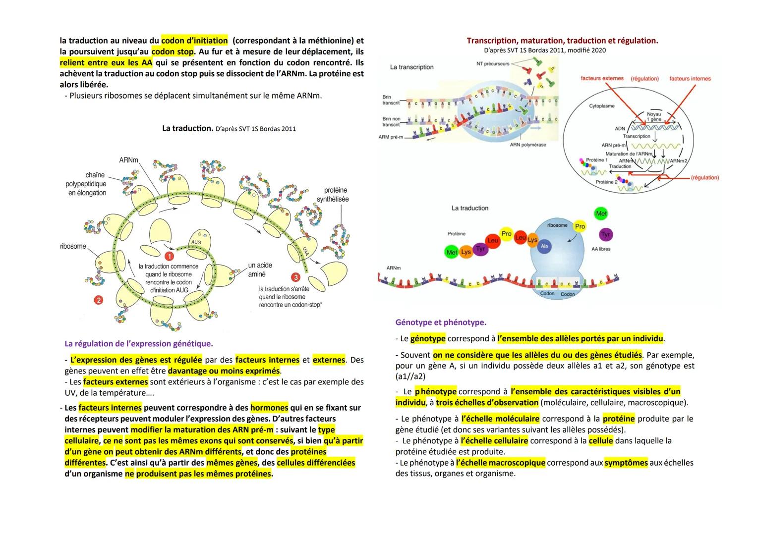 --- OCR Start ---
La mitose
Les divisions cellulaires des eucaryotes.
Mitose: division cellulaire précédée de la réplication de l'ADN condui