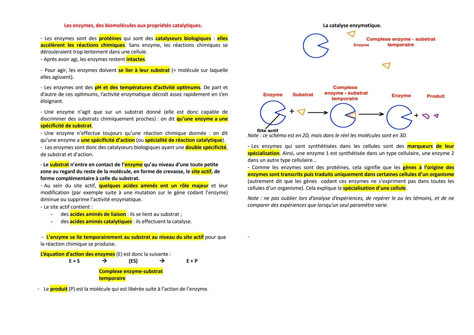 --- OCR Start ---
La mitose
Les divisions cellulaires des eucaryotes.
Mitose: division cellulaire précédée de la réplication de l'ADN condui