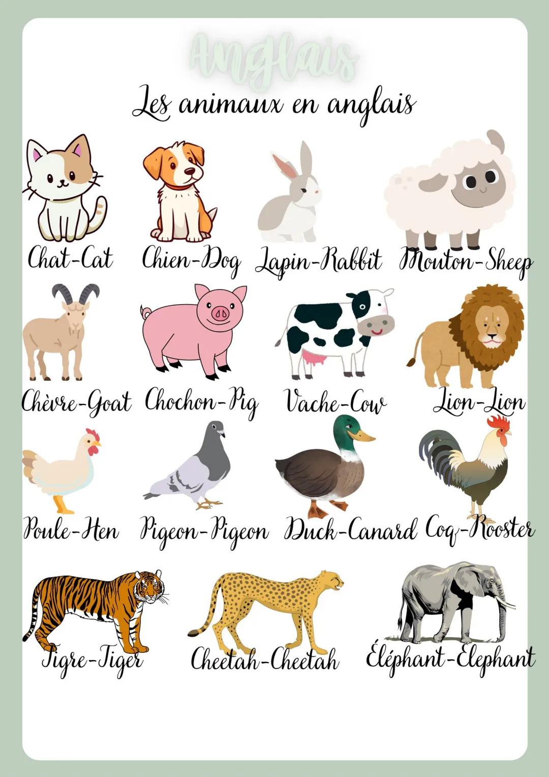 --- OCR Start ---
Anglais
Les animaux en anglais
Chat-Cat Chien-Dog Lapin-Rabbit Mouton-Sheep
Chèvre-Goat Chochon-Pig Vache-Cow Lion-Lion
Po
