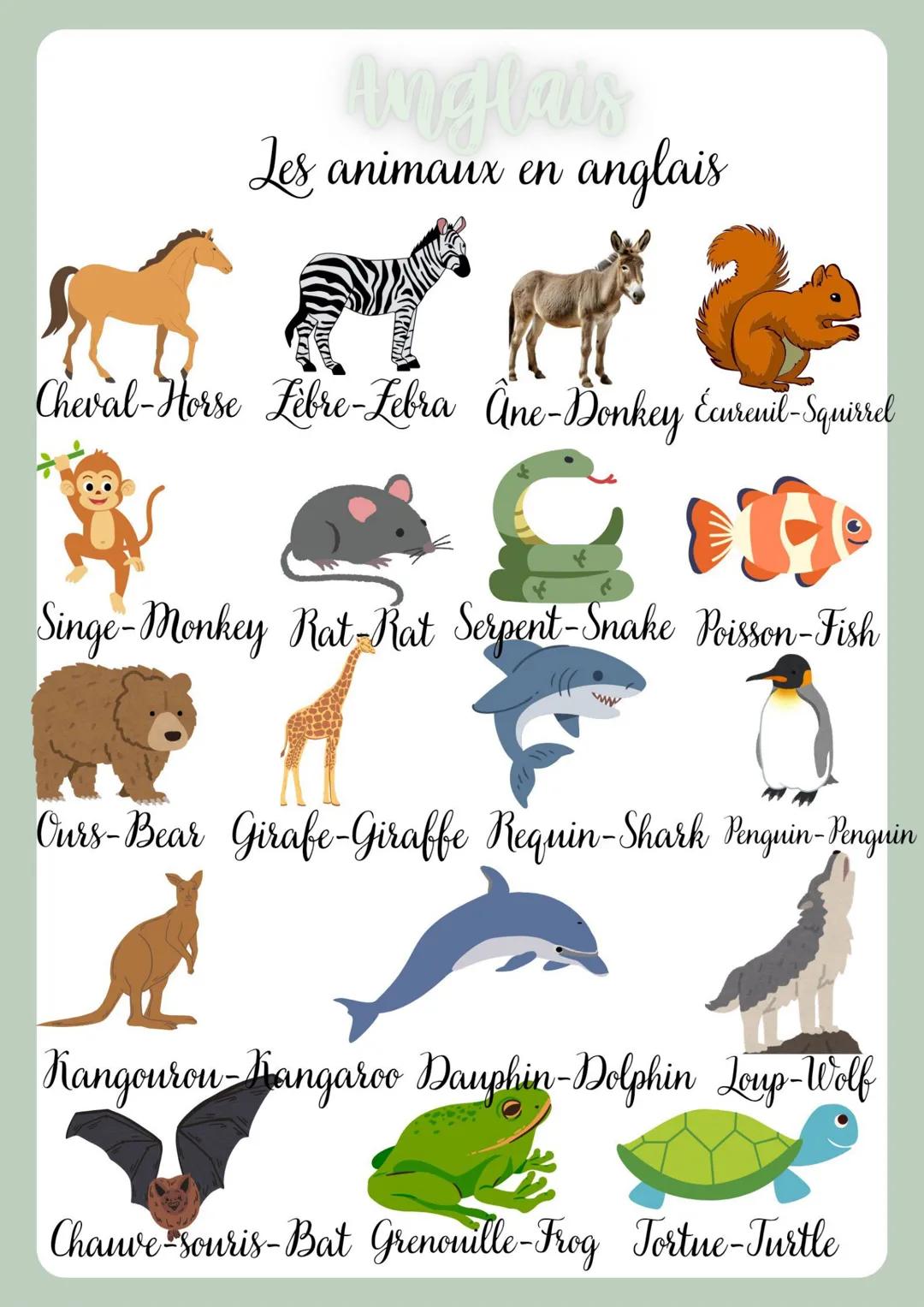 --- OCR Start ---
Anglais
Les animaux en anglais
Chat-Cat Chien-Dog Lapin-Rabbit Mouton-Sheep
Chèvre-Goat Chochon-Pig Vache-Cow Lion-Lion
Po