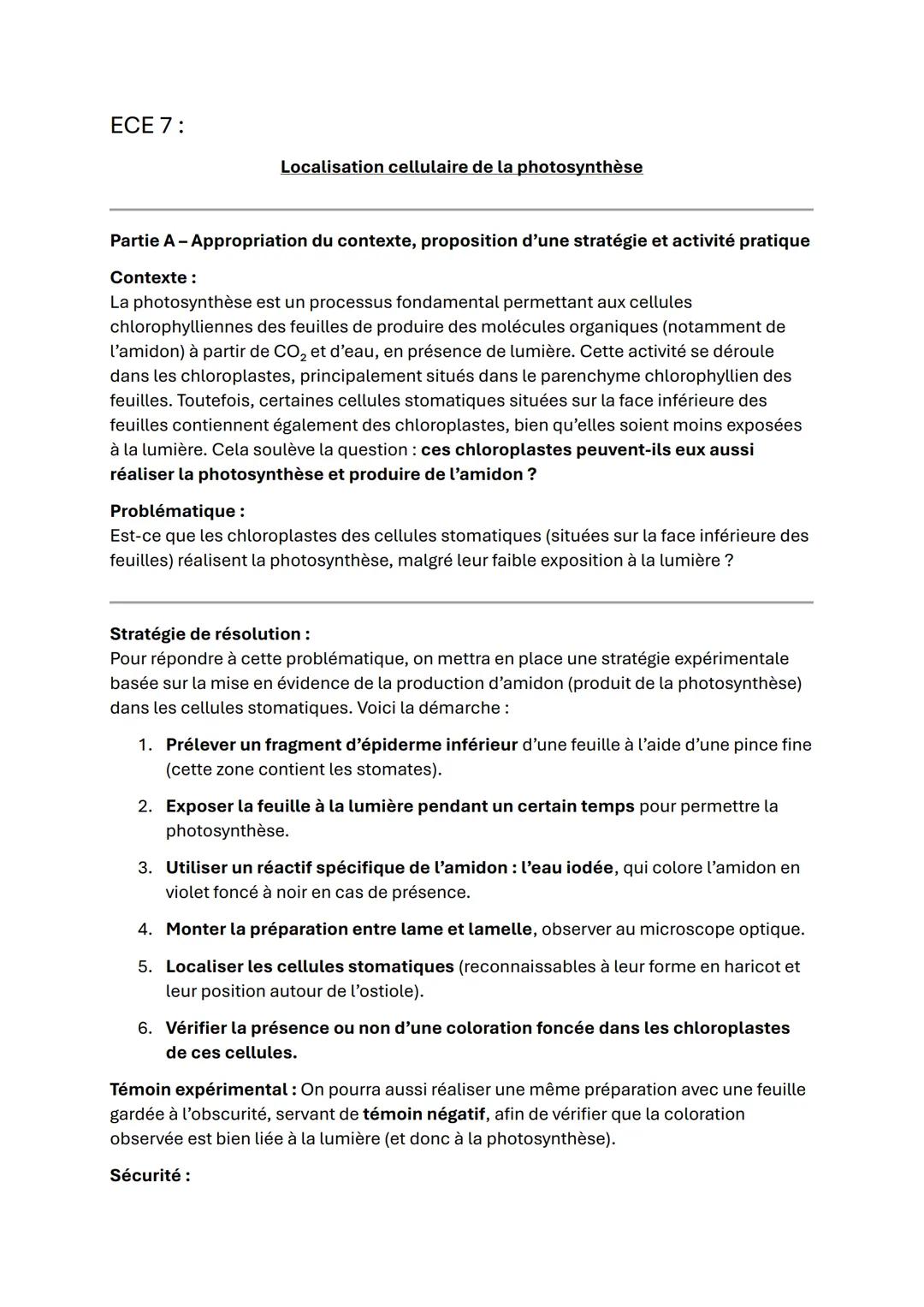 ECE 7:
Localisation cellulaire de la photosynthèse
Partie A - Appropriation du contexte, proposition d'une stratégie et activité pratique
Co