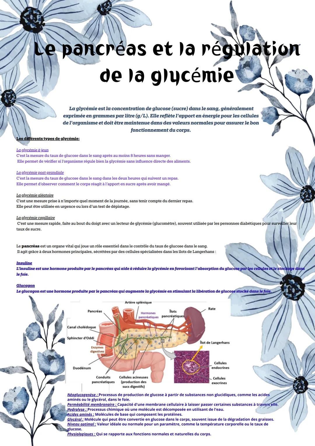 # Le pancréas et la régulation de la glycémie
La glycémie est la concentration de glucose (sucre) dans le sang, généralement exprimée en gr