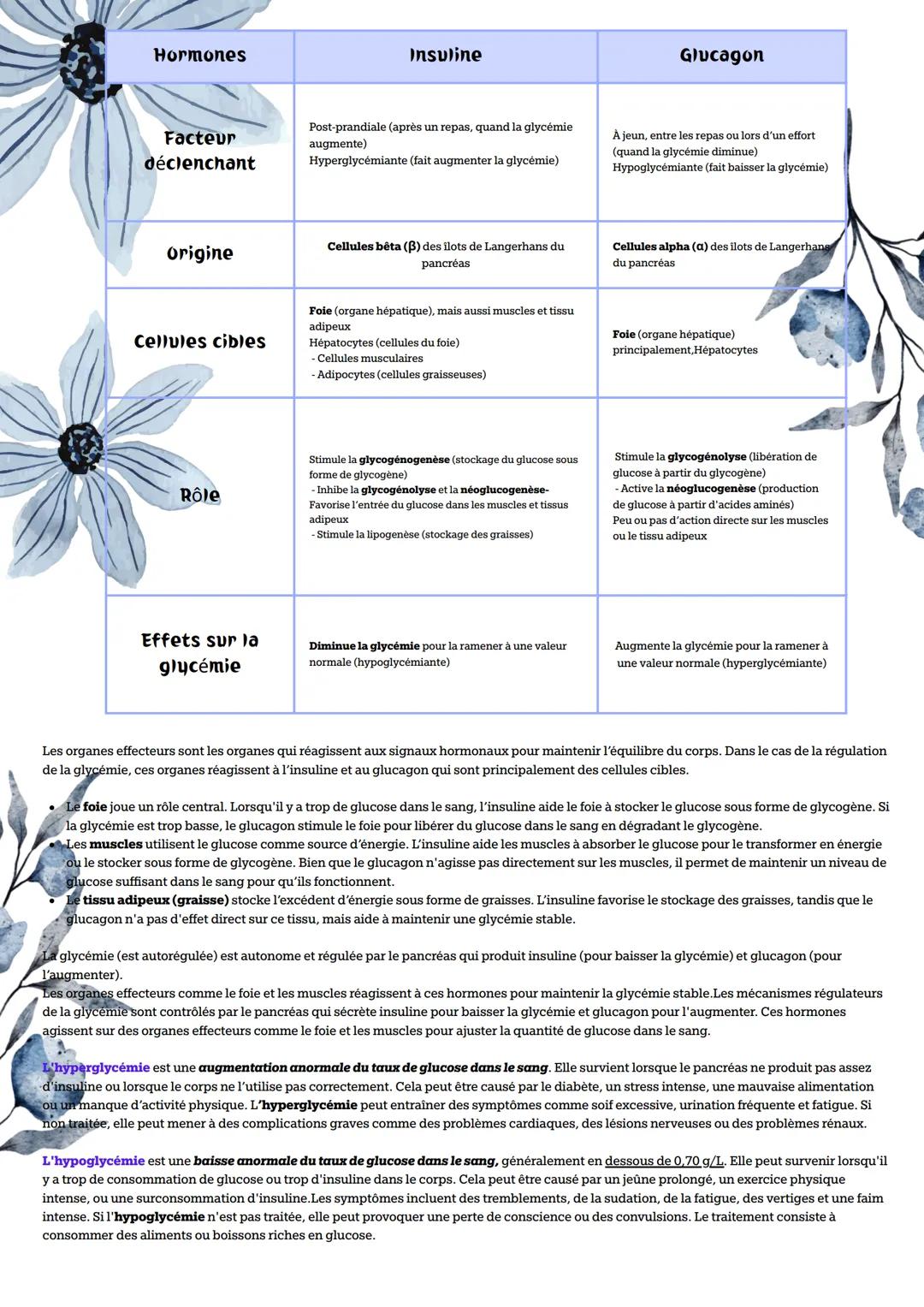# Le pancréas et la régulation de la glycémie
La glycémie est la concentration de glucose (sucre) dans le sang, généralement exprimée en gr