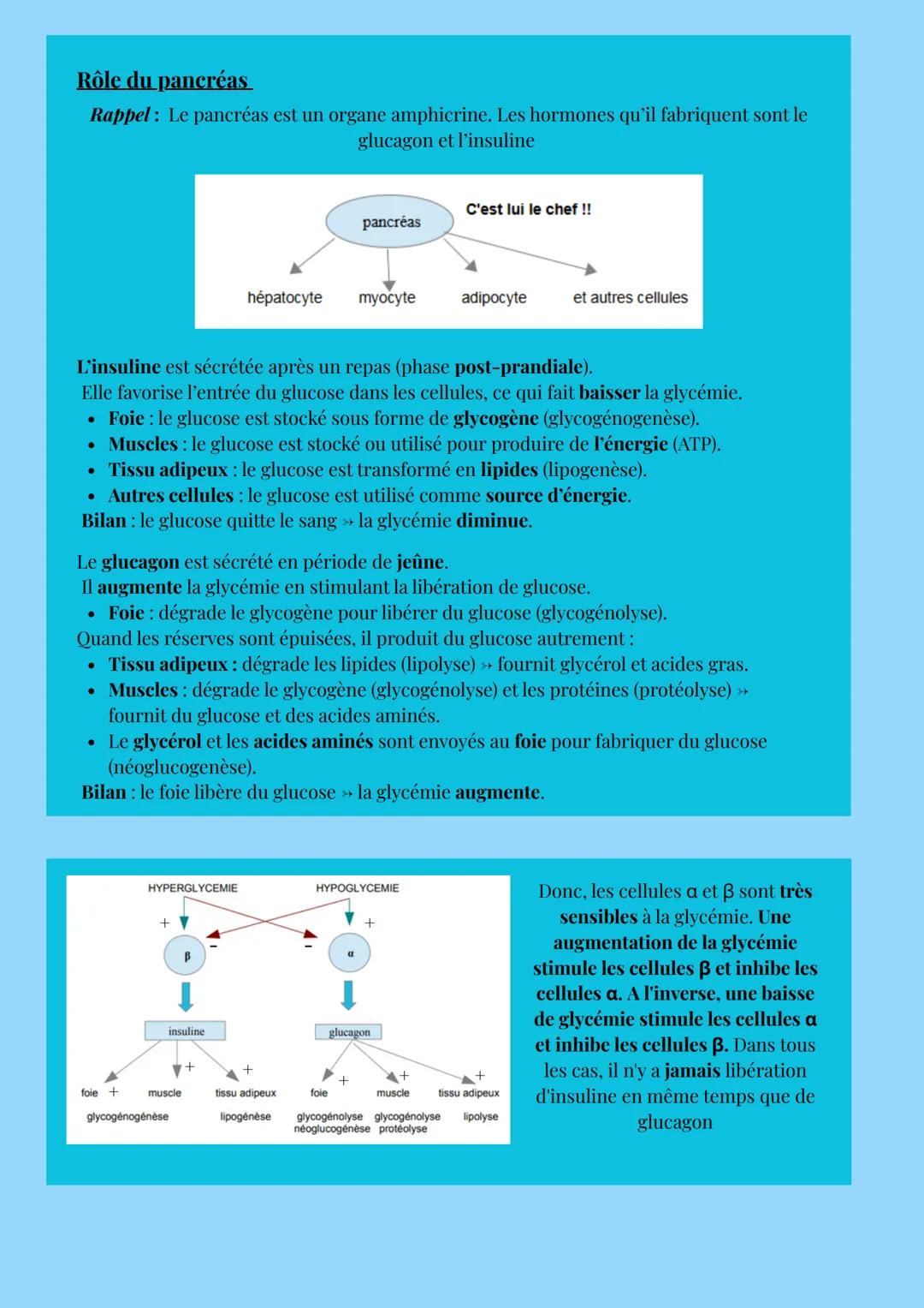 # HOMÉOSTASIE
# LE MILIEU INTÉRIEUR
Définition : le milieu intérieur correspond à l'ensemble des liquides extracellulaire de l'organisme.