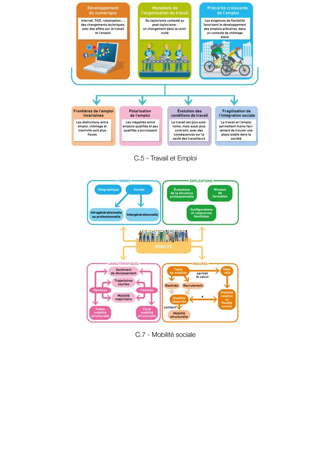Développement
du numérique
Internet, TICE, robotisation...:
des changements techniques,
avec des effets sur le travail
et l'emploi
Mutations