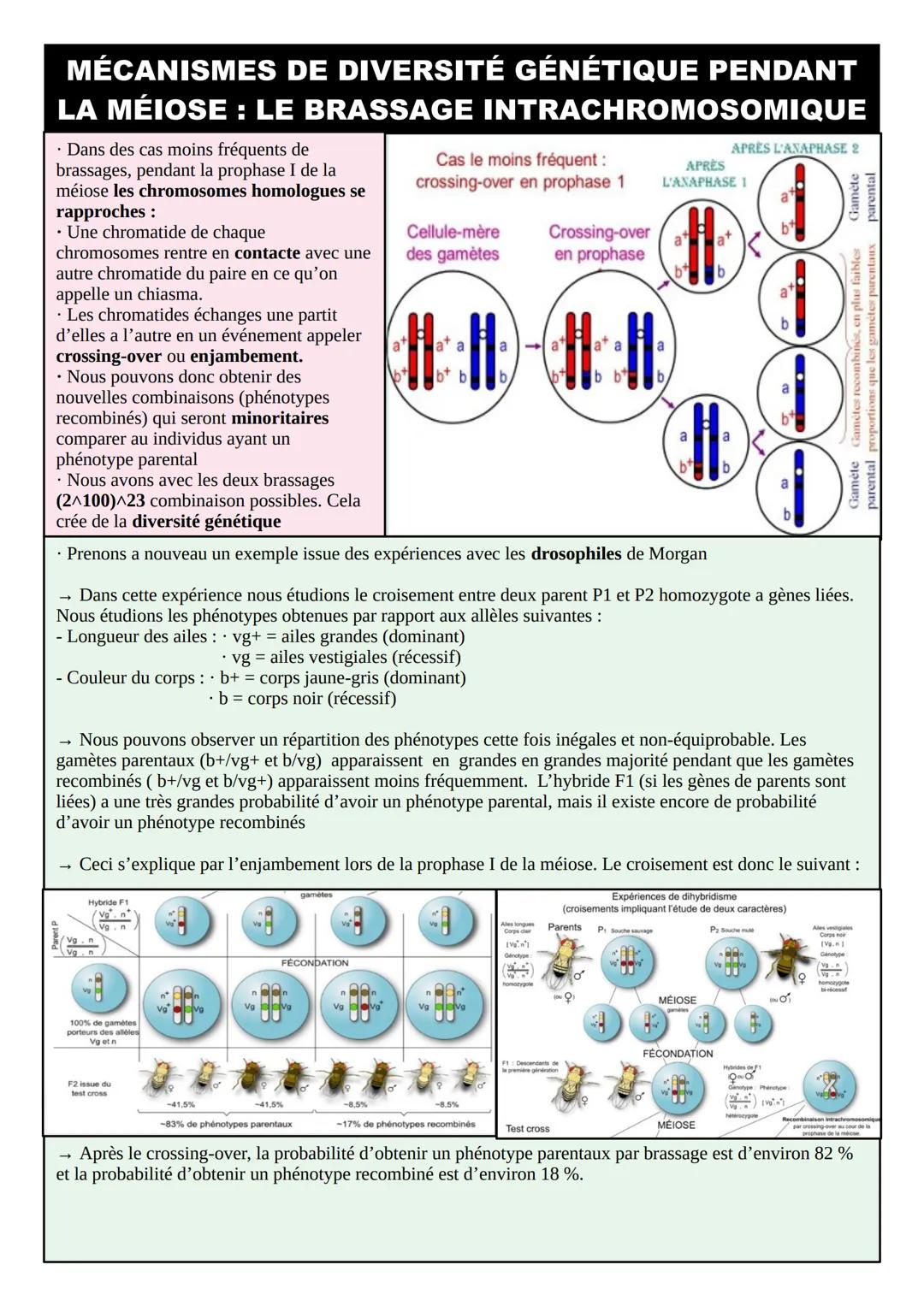 THÈME 1 – GÉNÉTIQUE ET ÉVOLUTION: FICHES DE
RÉVISIONS
INTRODUCTION – RÉVISIONS 1ºÈRE
• La mitose est la division cellulaire des cellules som