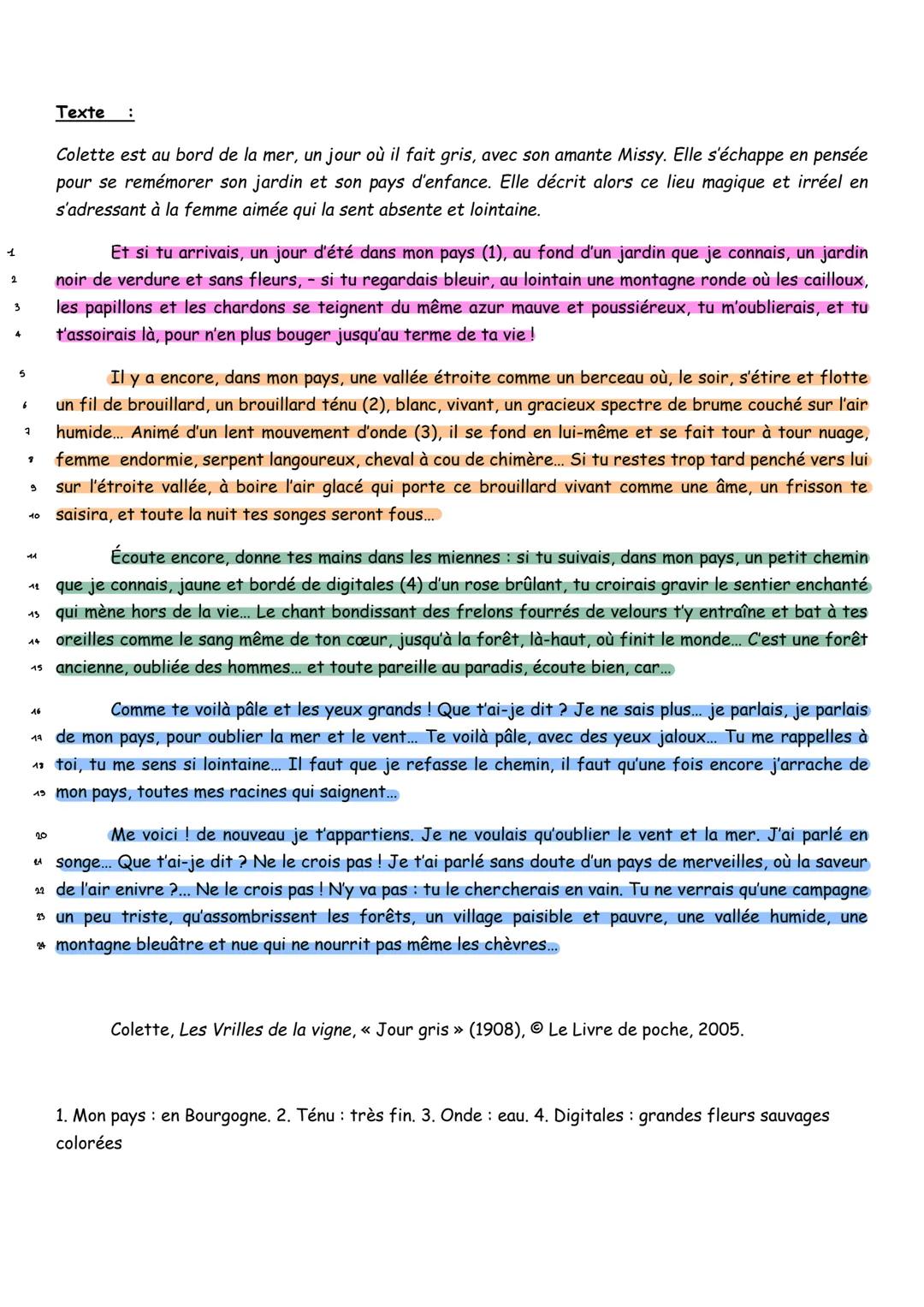 Étude linéaire - « Jours gris » Les Vrilles de la vigne - Colette