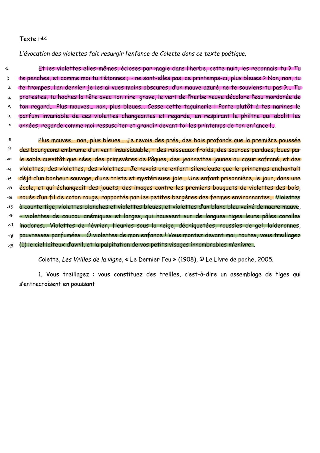 Texte : 14
L'évocation des violettes fait resurgir l'enfance de Colette dans ce texte poétique.
1
2
3
4
5
6
7
8
9
10
11
12
13
14
15
16
17
1
