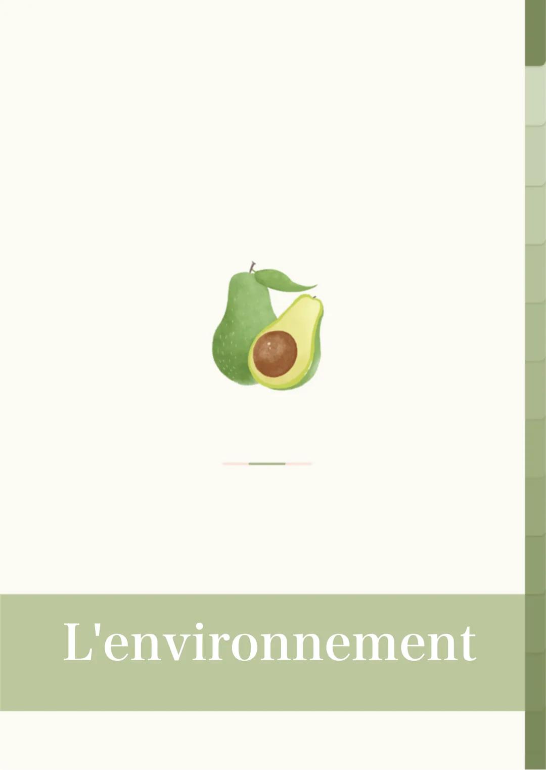 Environnement - HGGSP