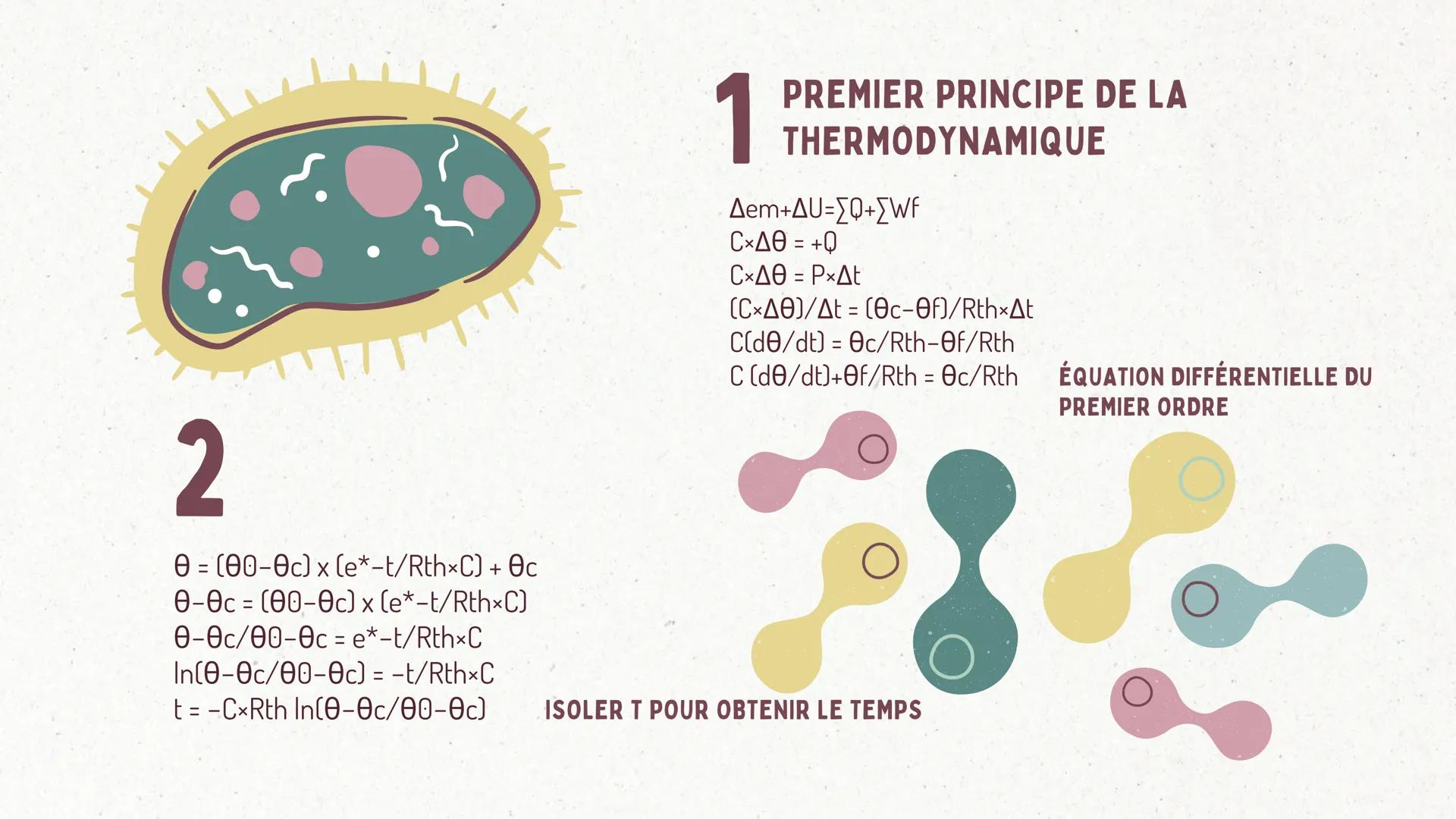 COMBIEN DE TEMPS UN POMPIER
PEUT IL RESTER DANS UN
INCENDIE SANS RISQUER DE SE
BRÜLER ?
GRAND ORAL DE PHYSIQUE-CHIMIE INTRODUCTION
Lorsqu'un