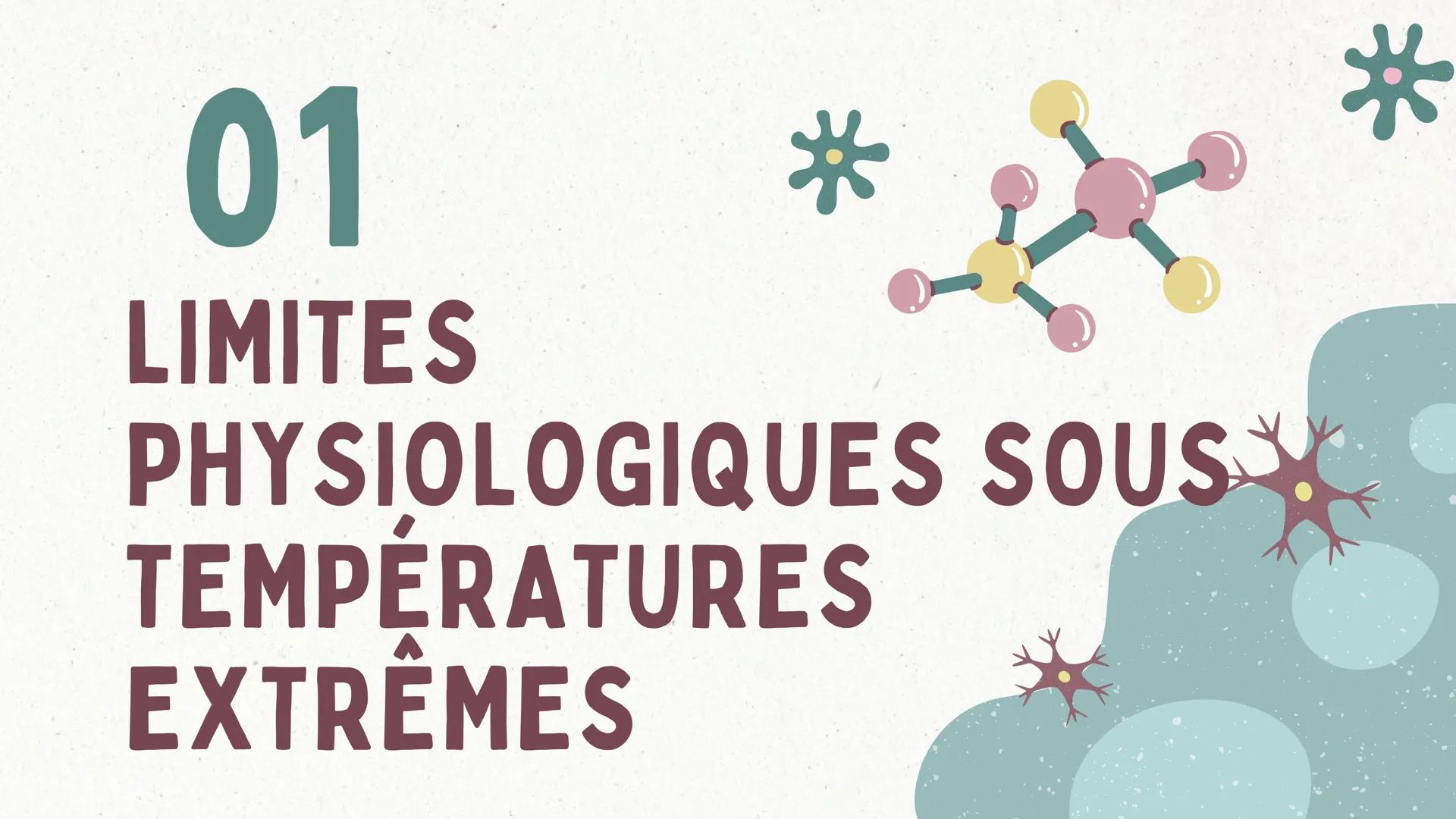 COMBIEN DE TEMPS UN POMPIER
PEUT IL RESTER DANS UN
INCENDIE SANS RISQUER DE SE
BRÜLER ?
GRAND ORAL DE PHYSIQUE-CHIMIE INTRODUCTION
Lorsqu'un