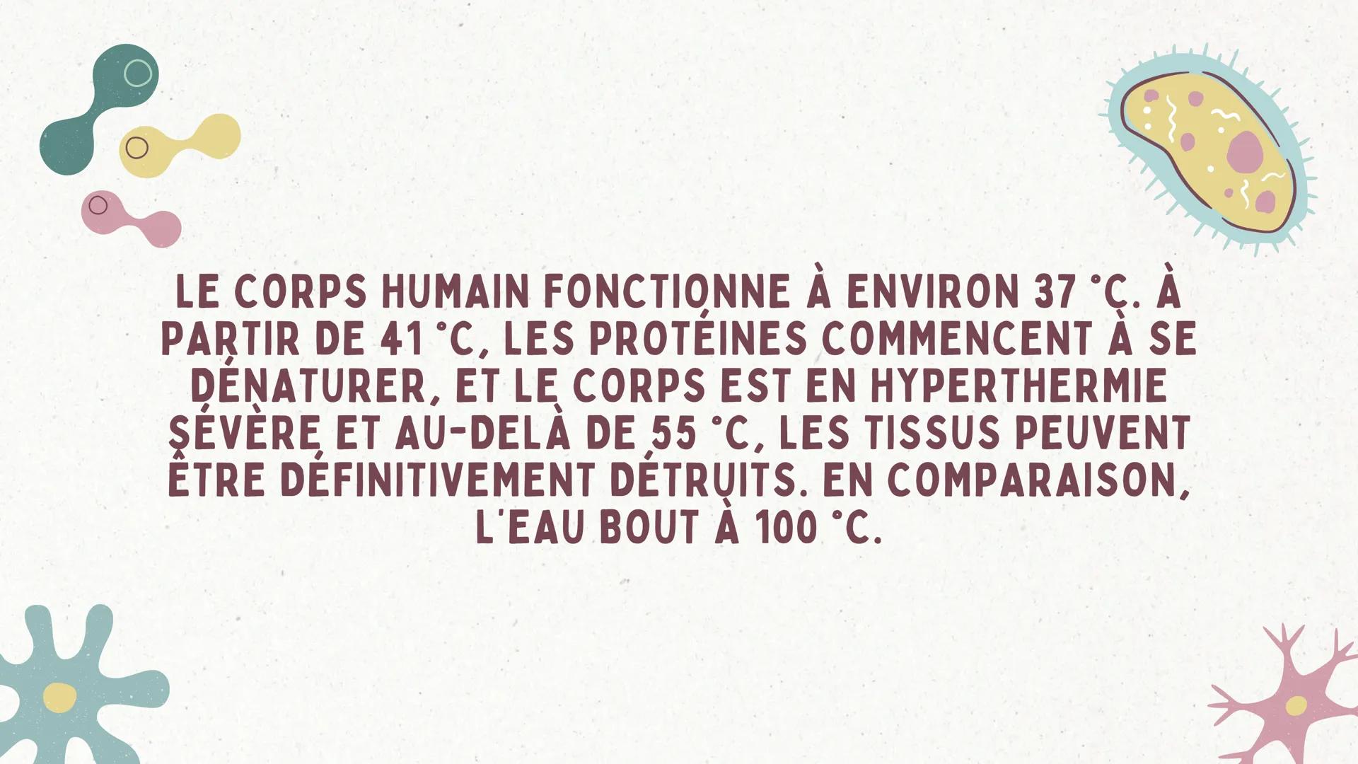COMBIEN DE TEMPS UN POMPIER
PEUT IL RESTER DANS UN
INCENDIE SANS RISQUER DE SE
BRÜLER ?
GRAND ORAL DE PHYSIQUE-CHIMIE INTRODUCTION
Lorsqu'un