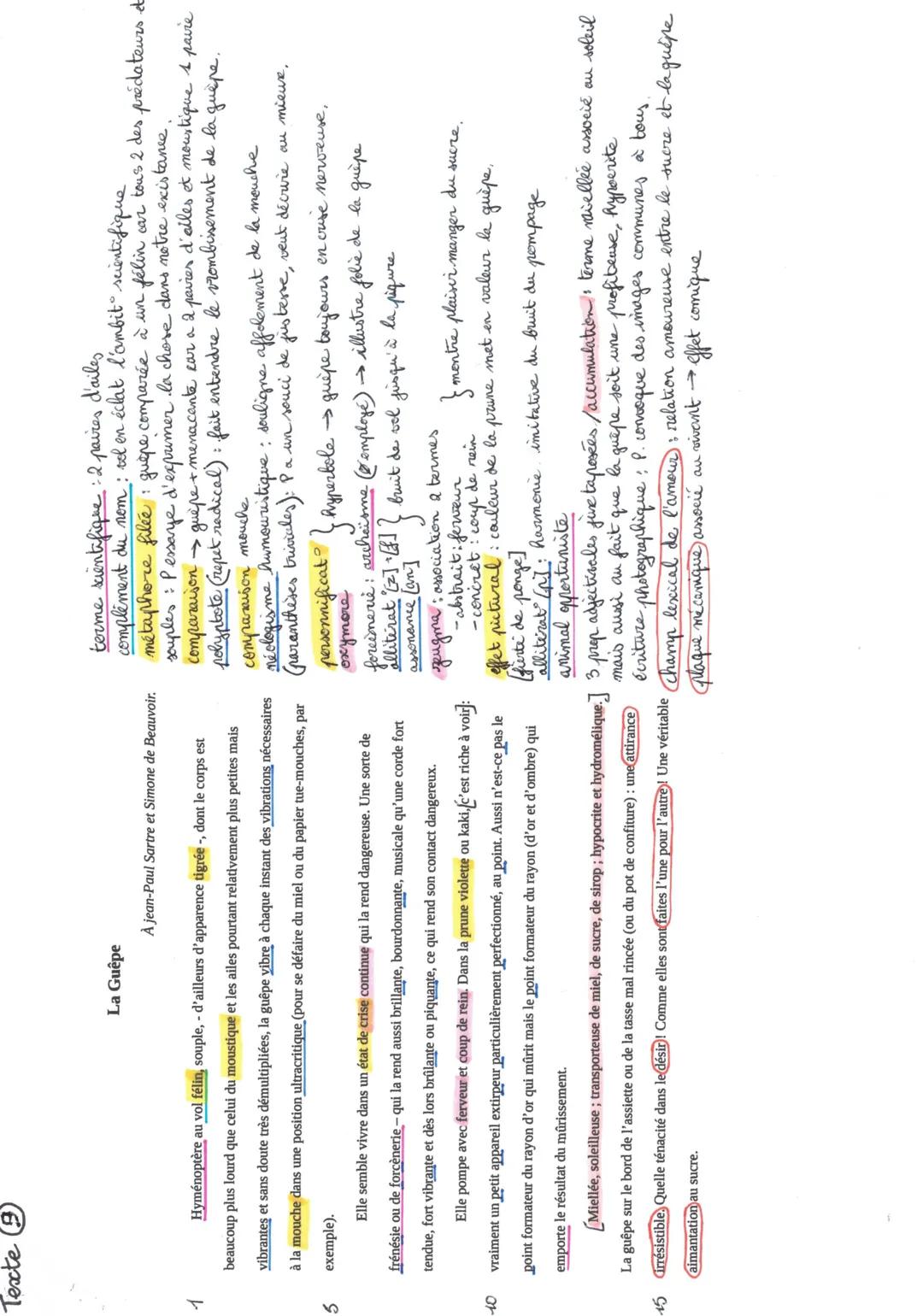 Texte
1
5
10
La Guêpe
À jean-Paul Sartre et Simone de Beauvoir.
Hyménoptère au vol félin, souple, - d'ailleurs d'apparence tigrée, dont le c
