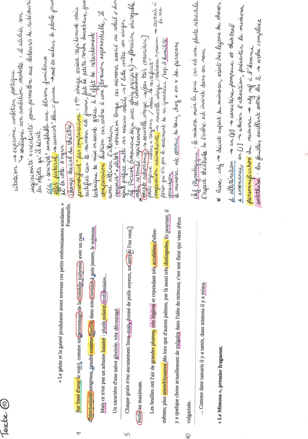 Texte 10
1
5
10
<< Le génie et la gaieté produisent assez souvent ces petits enthousiasmes soudains. »
Fontenelle.
Sur fond d'azur le voici,