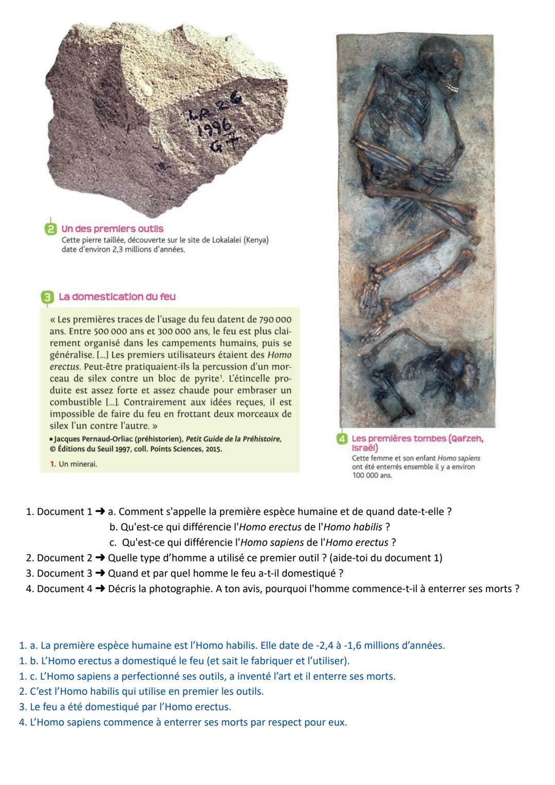 H1: Les débuts de l'humanité et la « révolution >> néolithique
- Nous allons étudier une période qui ne fait pas tout à fait partie de l'his