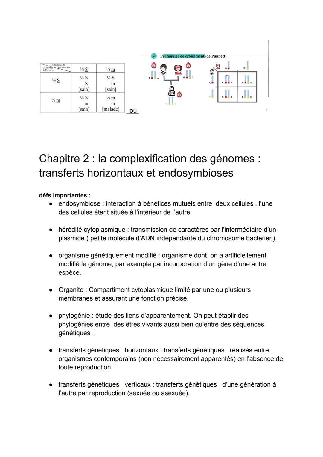 Bac SVT
Theme 1 : la terre, la vie et l'organisation du vivant
chap 1 : l'origine du génotype des individus :
défs importante:
• mitose: la